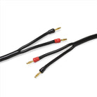 Transparent Hardwired Speaker Cable