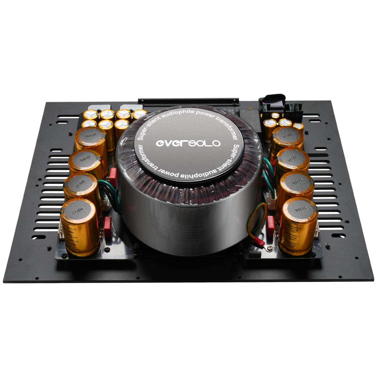 EverSolo AMP-F10 High-Fidelity Power Amplifier - view of power transformer