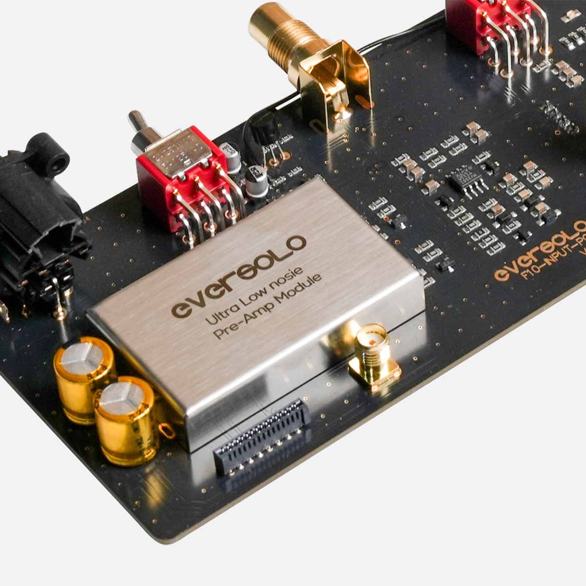 EverSolo AMP-F10 High-Fidelity Power Amplifier - view of preamp module