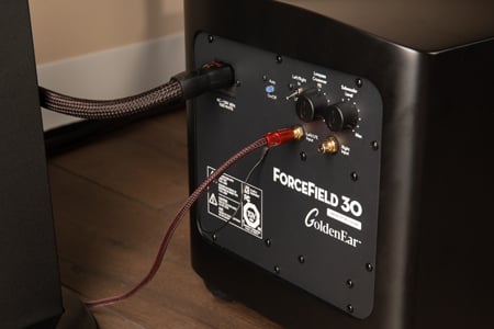 GoldenEar Forcefield 30 Subwoofer back View