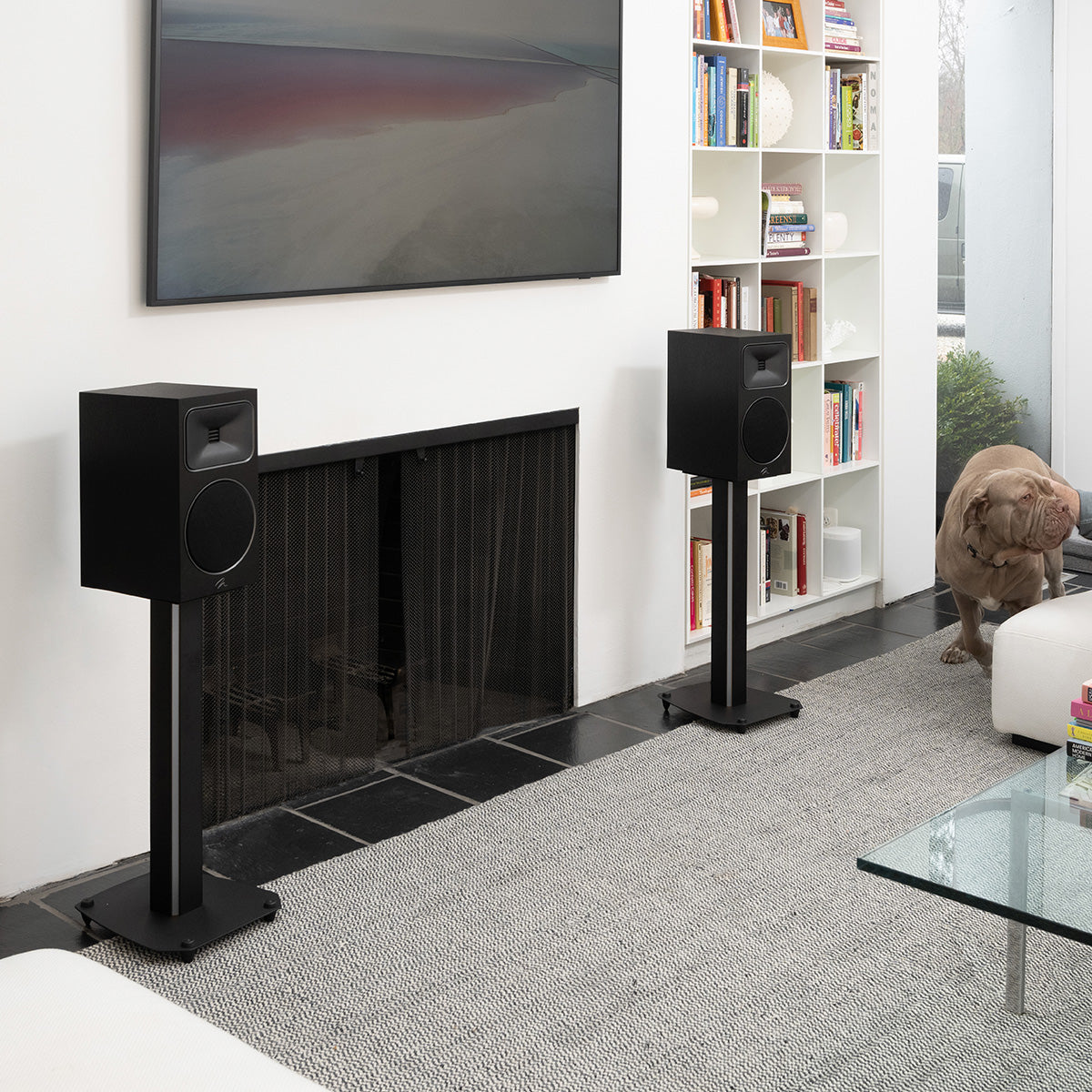 MartinLogan Foundation B2 Bookshelf Speaker - Each