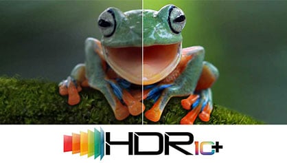 HDR10+ Support