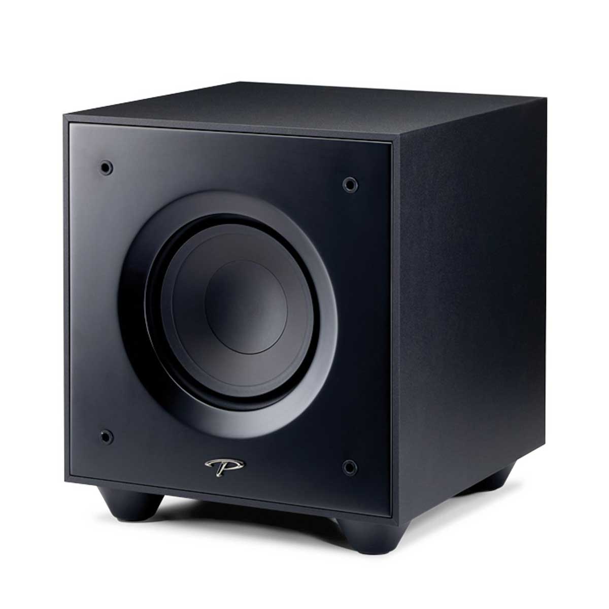 Paradigm Defiance V10 Subwoofer