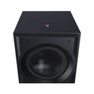 Perlisten Audio R10s Single Driver 10" Subwoofer - without grille - zoomed top-front view