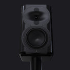 Perlisten R4b Bookshelf Speaker - Each